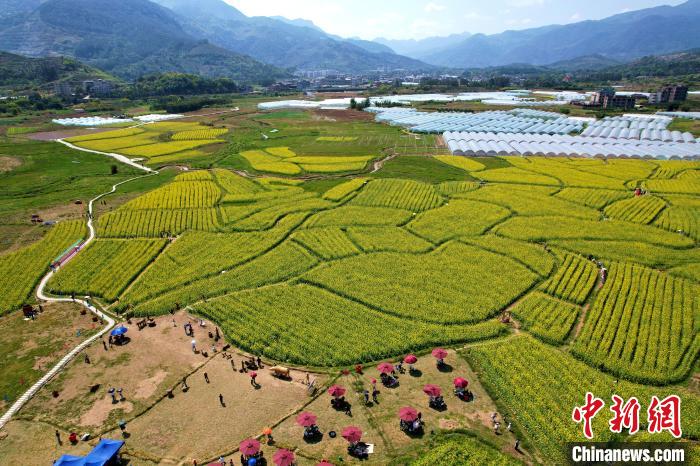 福建閩侯油菜花海引客來(lái)