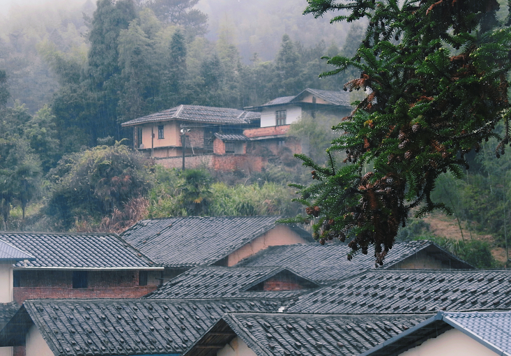 閩清東洋村：煙雨中的山水畫卷